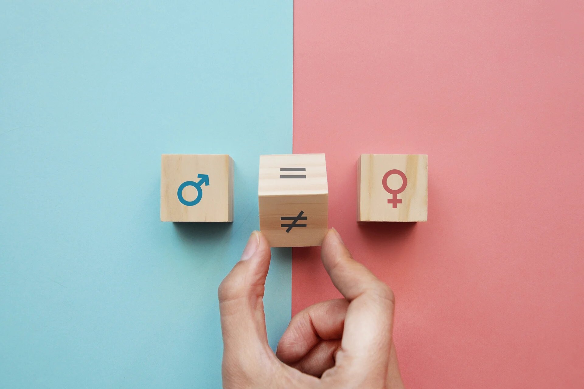 un cube avec le symbole masculin sur fond bleu face à un cube avec le symbole féminin sur fond rose. Entre les deux, un cube qu'une main fait passer de la face "inégal" à "égal"